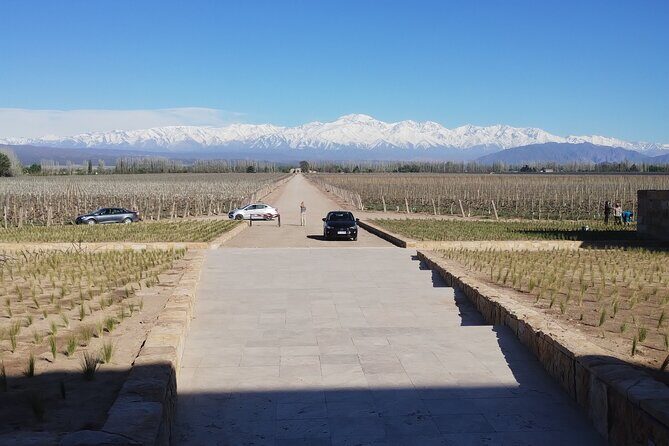 Luján de Cuyo/ Maipú Wineries. Full Day. Transfer. - Exploring Mendoza’s Wine Country in Comfort and Style