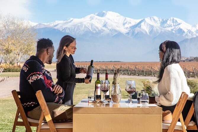 Lujan Deluxe - Full day - Premium Wine Tour with Gourmet Lunch - Key Points