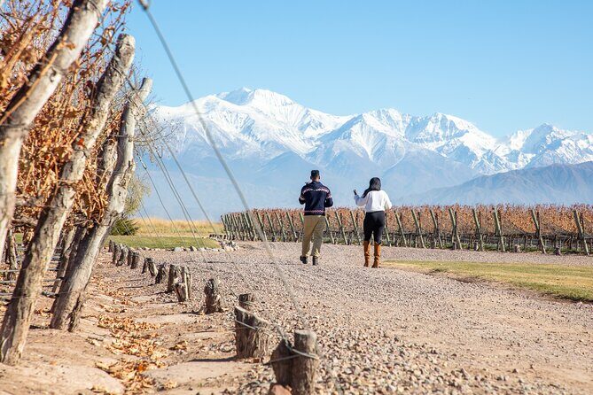 Lujan Deluxe - Full day - Premium Wine Tour with Gourmet Lunch - A Deep Dive into the Experience