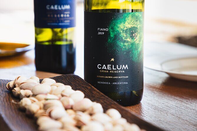 Lujan Deluxe - Full day - Premium Wine Tour with Gourmet Lunch - Who Should Consider This Tour?