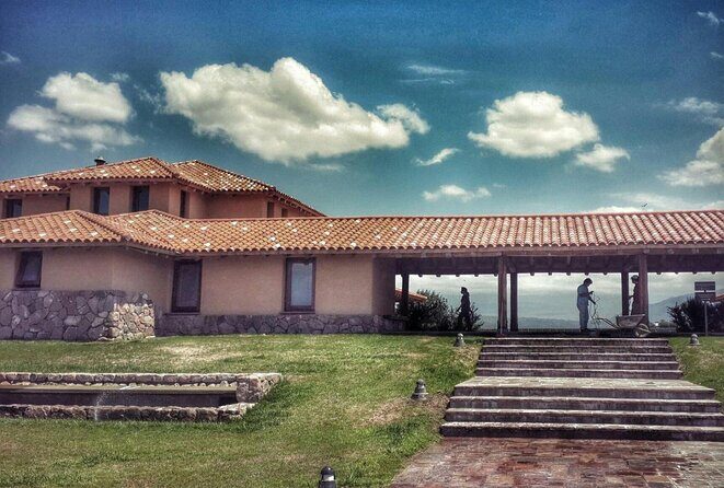 Lujan Deluxe - Full day - Premium Wine Tour with Gourmet Lunch - Final Thoughts