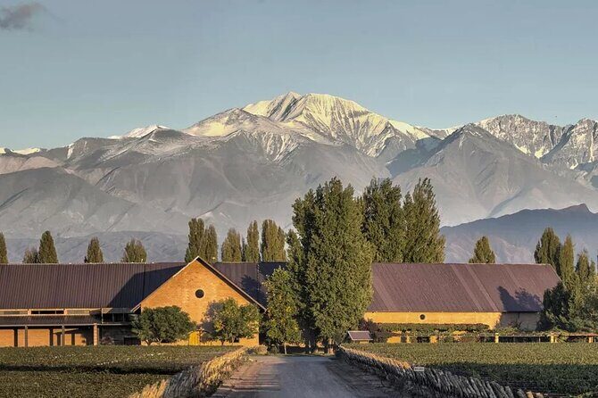 Luján Gourmet Wine Tour  Shared - Exploring Mendoza’s Hidden Gems: The Luján Gourmet Wine Tour