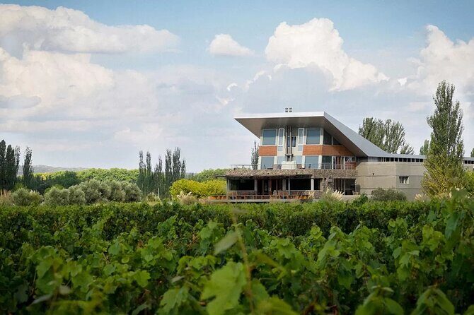 Luján Gourmet Wine Tour  Shared - The Sum Up: Who Should Consider This Tour?