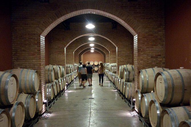 Lujan & Maipu - Private - The Best WineTour & Lunch - A Day in Mendoza’s Luján de Cuyo: Private Wine Tour with Lunch