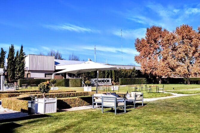 Luján Wine Tasting Guided Experience with Lunch - In-Depth Review of the Luján de Cuyo Wine Tour