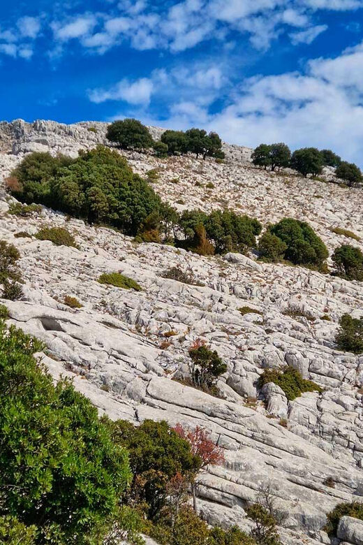 Lula: Montalbo hiking - Meet the Montalbo Mountain Range in Sardinia