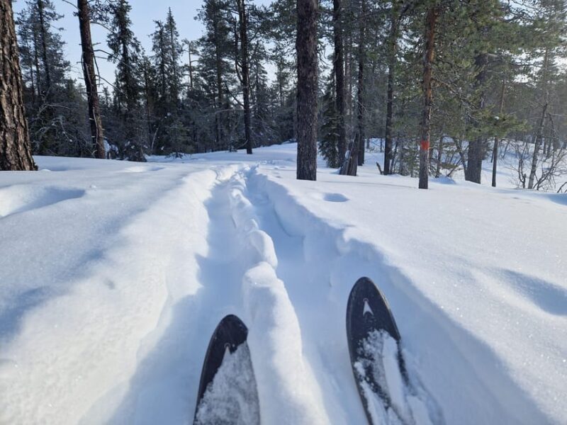 Luleå: Nordic Touring Skiing Adventure - Location and Logistics