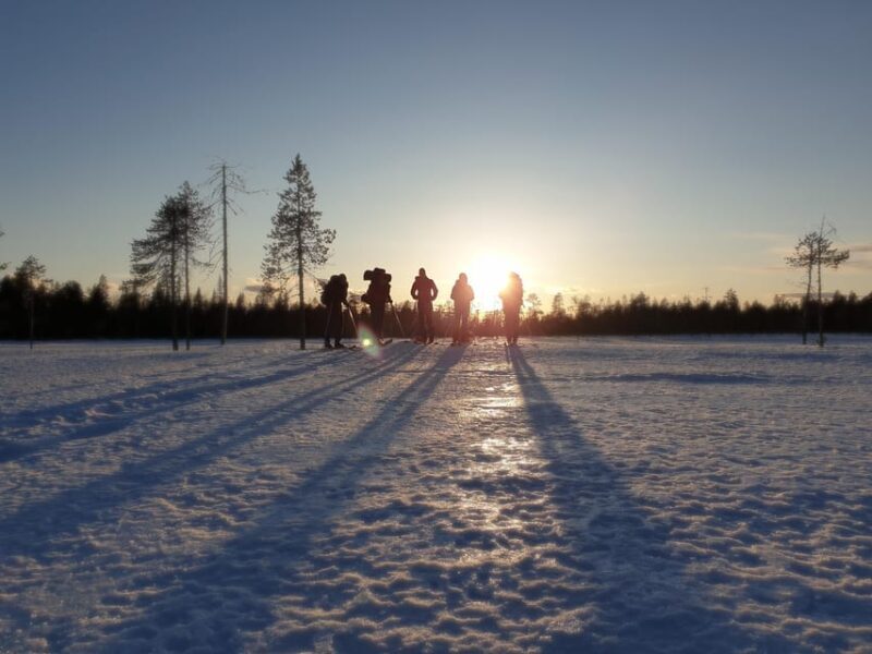 Luleå: Nordic Touring Skiing Adventure - What to Expect