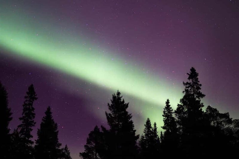 Luleå: Northern Lights Snowshoeing Tour - Luleå: Northern Lights Snowshoeing Tour - A Clear Night in Swedish Lapland
