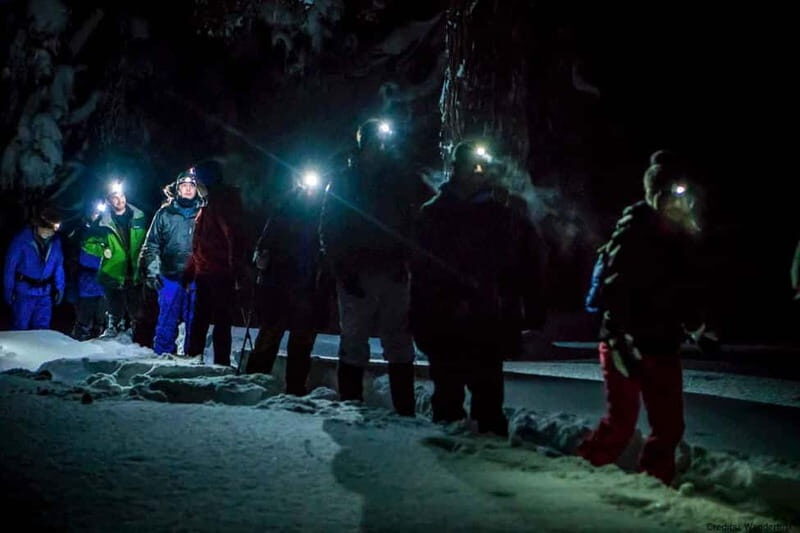 Luleå: Northern Lights Snowshoeing Tour - Final Thoughts