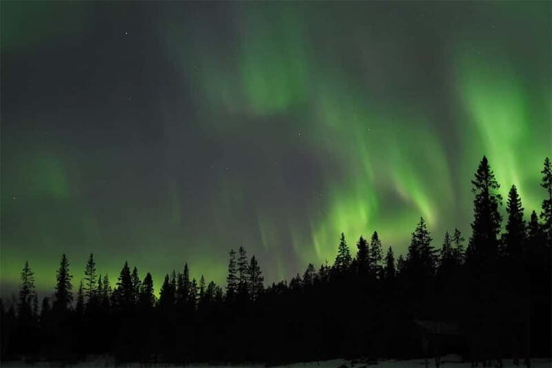 Luleå: Northern Lights Tour by Car with Guide - Experience the Northern Lights from Luleå: An Unforgettable Guided Tour