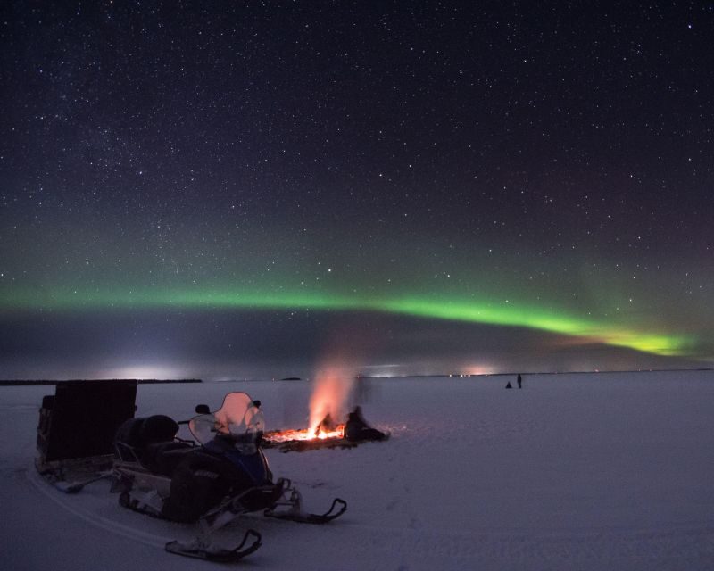 Luleå : Northern Lights Tour on a Snowmobile drawn Sled - Who Will Love This Tour?