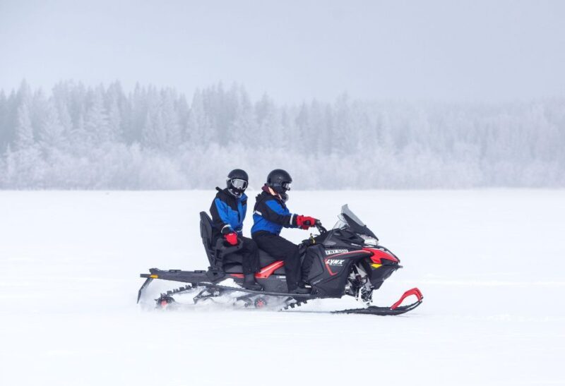 Luleå : Snowmobile - Forest and Ice Nature Tour 2h - Frequently Asked Questions
