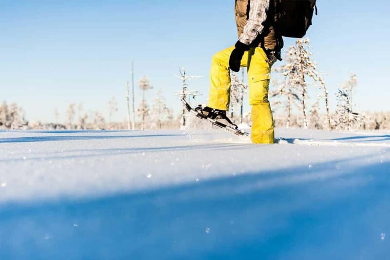 Luleå: snowshoeing in pristine nature with an expert guide! - Luleå: Snowshoeing in Pristine Nature with an Expert Guide