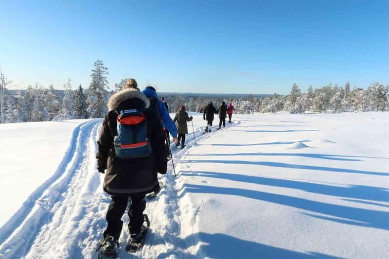 Luleå: snowshoeing in pristine nature with an expert guide! - Practical Details and Value