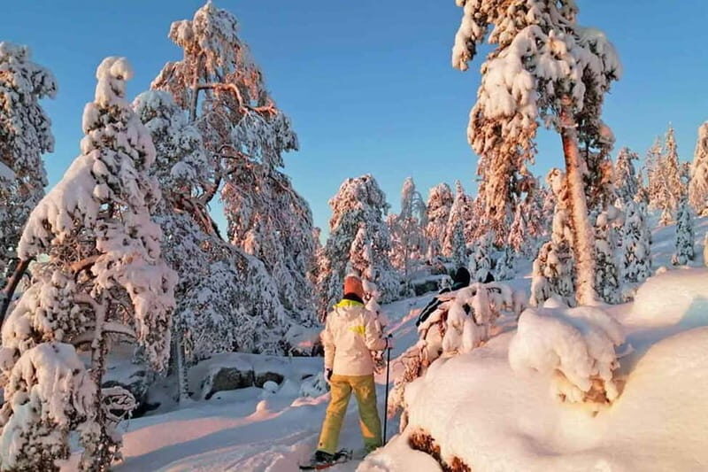 Luleå: snowshoeing in pristine nature with an expert guide! - Who Should Consider This Tour?
