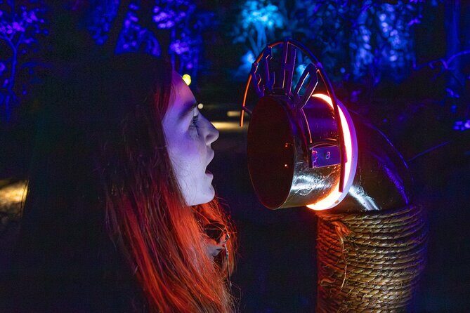 LUMA Enchanted Whimsical Sensory night walk - A Deep Dive into the LUMA Enchanted Night Walk