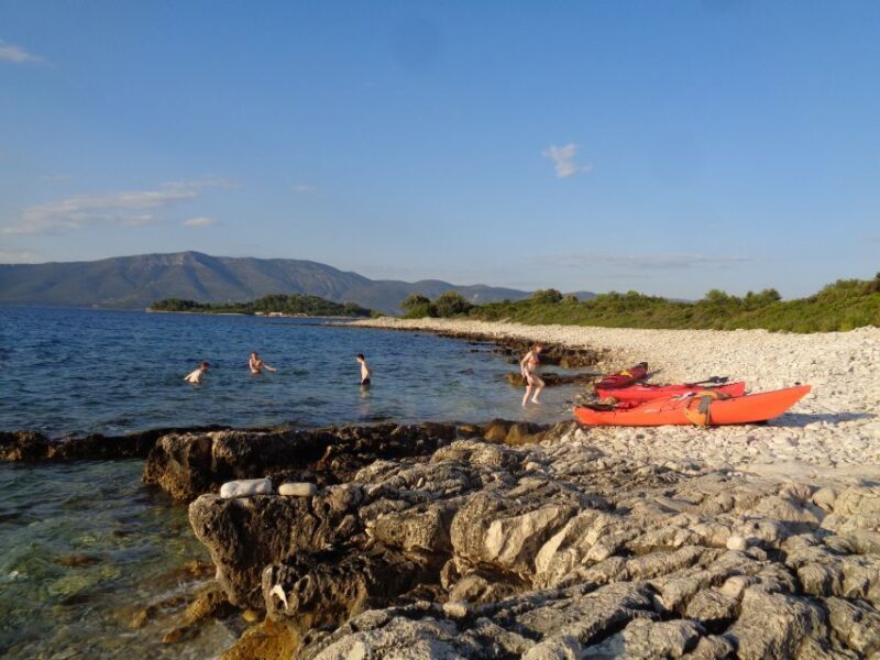 Lumbarda: Half-Day Kayaking and History with Wine delight - Who Will Love This Experience?
