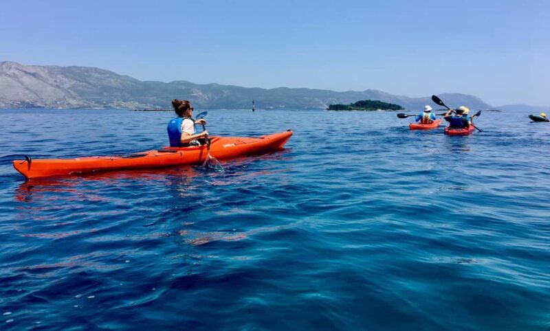 Lumbarda: Half-Day Kayaking and History with Wine delight - Final Thoughts: A Genuine Slice of Dalmatia