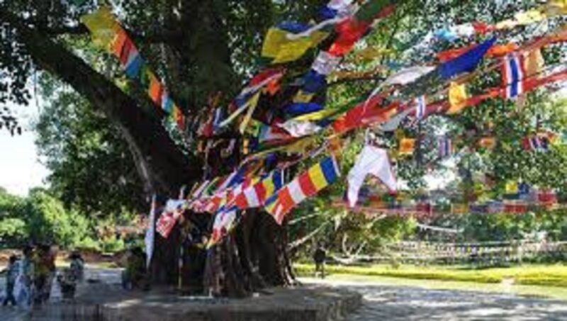 Lumbini Full day tour with Guide - Who Will Love This Tour?