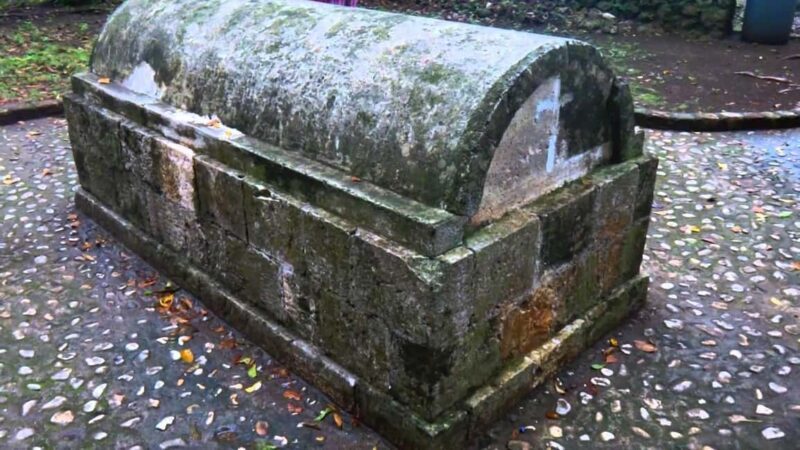 Luminous Lagoon and Rose Hall Haunted Great House Night Tour - Who Will Enjoy This Tour?