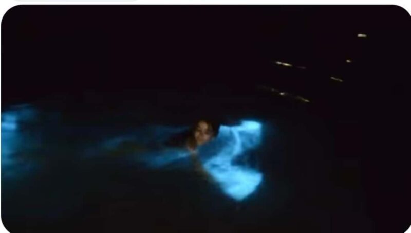 Luminous Lagoon Experience: Ocho Rios Runaway Bay & Falmouth - Luminous Lagoon Experience: Ocho Rios, Runaway Bay & Falmouth