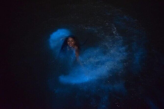 Luminous Lagoon (Glistening Waters) Night Tour - Who Will Love This Tour?