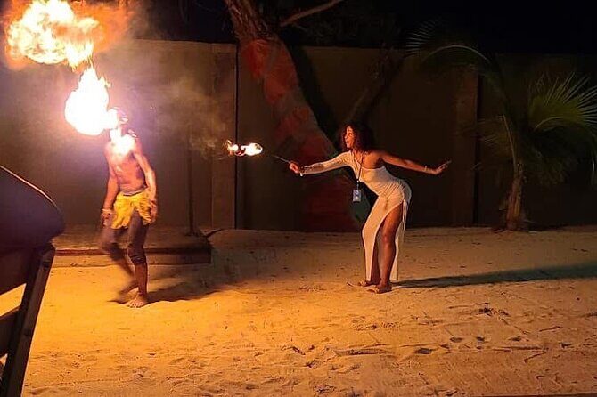 Luminous Lagoon (Glistening Waters) Night Tour - The Experience in Detail