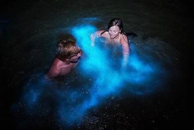 Luminous Lagoon "Glistening Waters" Tour from Falmouth - Luminous Lagoon "Glistening Waters" Tour from Falmouth: An Enchanting Night in Jamaica