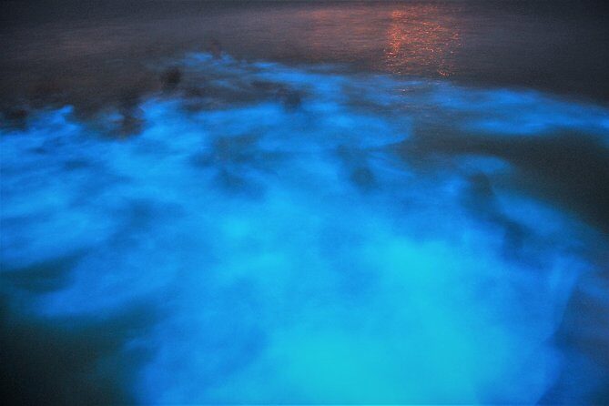 Luminous Lagoon "Glistening Waters" tour from Montego Bay Hotels - Key Points