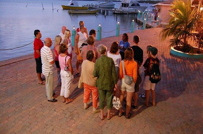 Luminous Lagoon Night Cruise From Montego Bay - Who Should Consider This Tour?