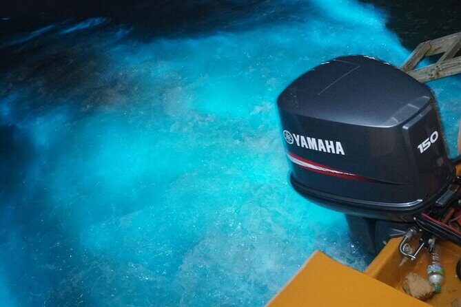 Luminous Lagoon Night Experience From Montego Bay - A Deep Dive into the Luminous Lagoon Night Experience