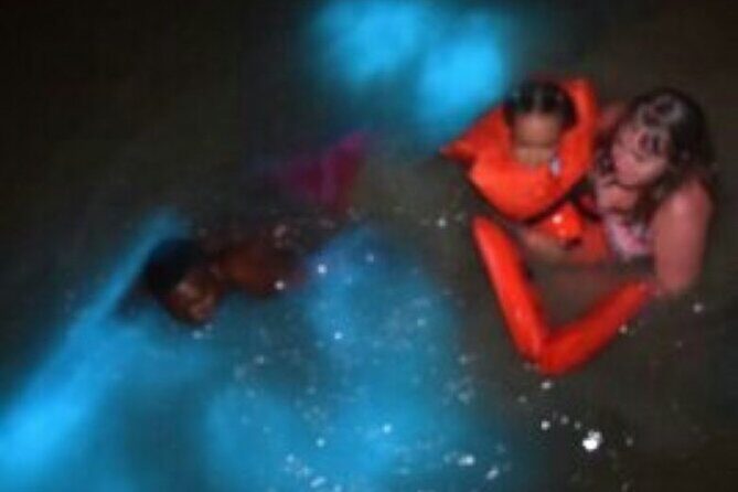 Luminous Lagoon Night-Time Tour from Montego Bay - The Practicalities: What You Need to Know