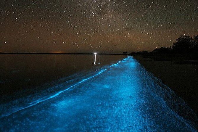Luminous Lagoon Night-Time Tour from Montego Bay - Final Thoughts: Who Will Love This Tour?
