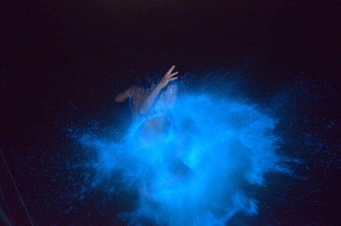 Luminous Lagoon Night Tour - Who Would Enjoy This Tour?