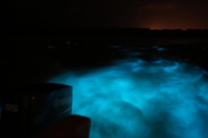 Luminous Lagoon-Night Tour (Falmouth, Ocho Rios or Montego) - Exploring the Luminous Lagoon Night Tour: A Natural Light Show in Jamaica