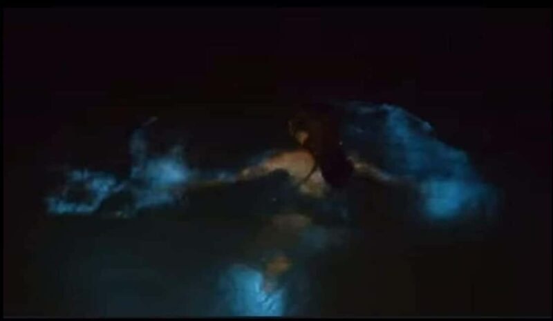 Luminous lagoon: Night Tour from Falmouth Hotels and Villas - The Natural Phenomenon: Why Does It Glow?