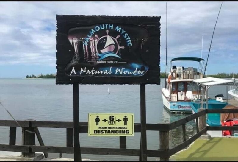 Luminous lagoon: Night Tour from Falmouth Hotels and Villas - What People Are Saying