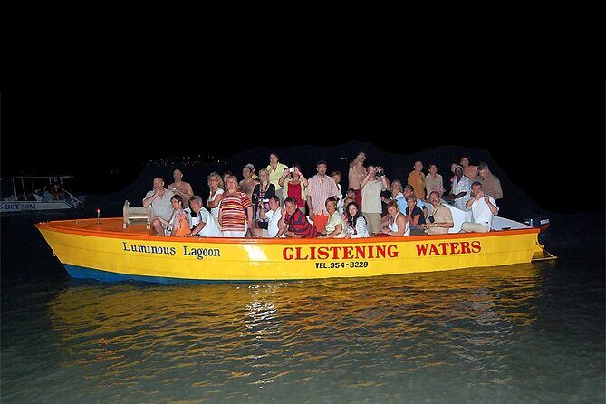 Luminous Lagoon Night Tour from Montego Bay - Key Points