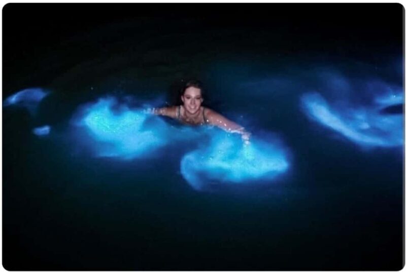 Luminous lagoon : Night Tour from Ocho Rios and Runaway Bay - Discovering the Luminous Lagoon: A Nighttime Wonder in Jamaica