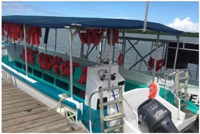 Luminous lagoon : Night Tour from Ocho Rios and Runaway Bay - FAQ