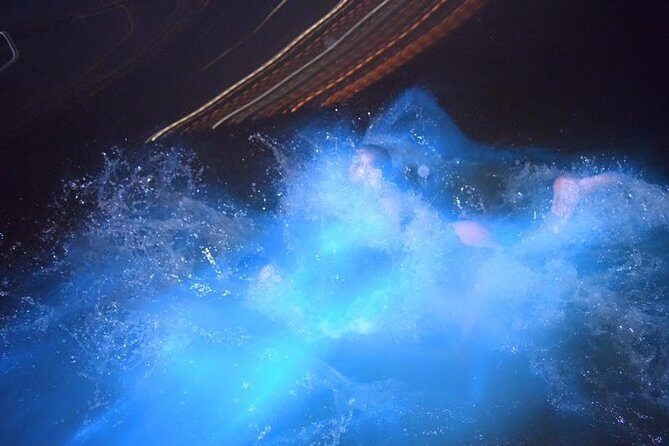 Luminous Lagoon Night Tour from Ocho Rios - Key Points