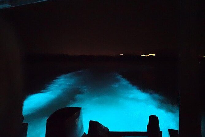 Luminous lagoon Night Tour Montego Bay - FAQ