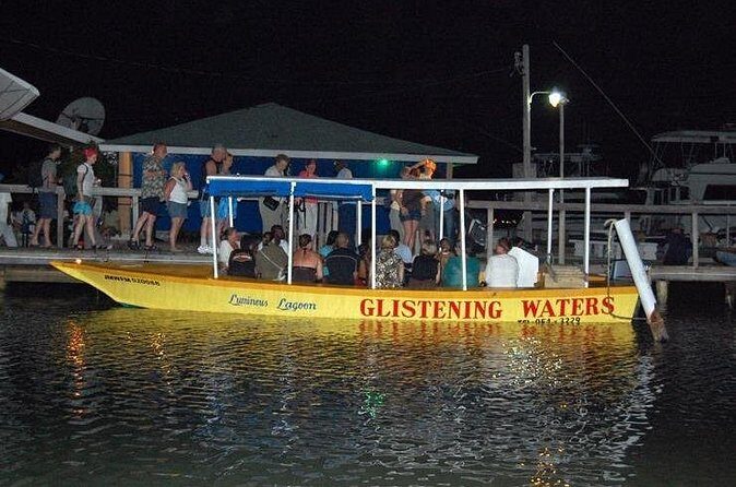 Luminous Lagoon Nighttime Boat Tour from Montego Bay - The Sum Up
