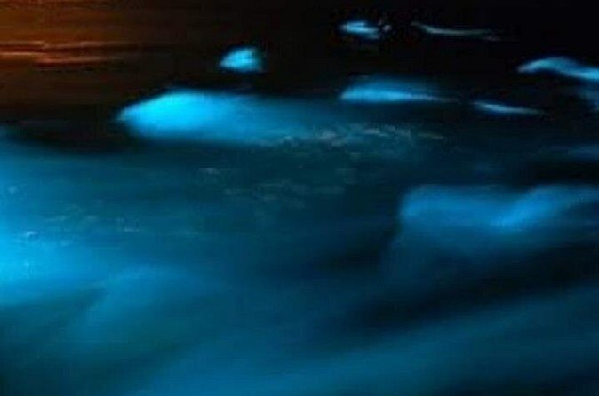 Luminous Lagoon Private Night Tour From Negril - FAQ