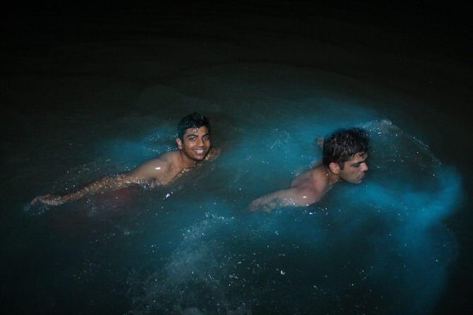 Luminous Lagoon Private Tour - An In-Depth Look at the Luminous Lagoon Private Tour