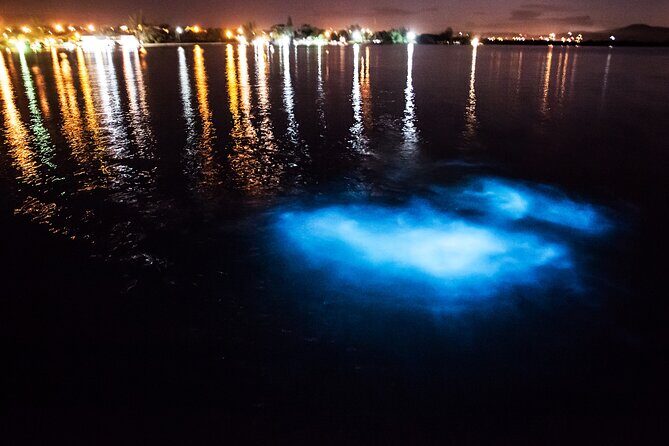 Luminous Lagoon Private Tour in Jamaica - Key Points