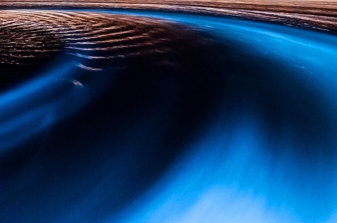 Luminous Lagoon Private Tour in Jamaica - Final Thoughts