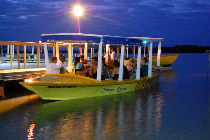 Luminous Lagoon Small Group Tour from Montego Bay - Who Should Consider This Tour?