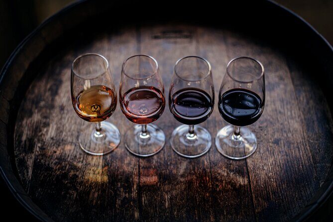 Lunch and Wine Tasting in the Douro Valley Region - Discover the Charm of the Douro Valley in Comfort and Style